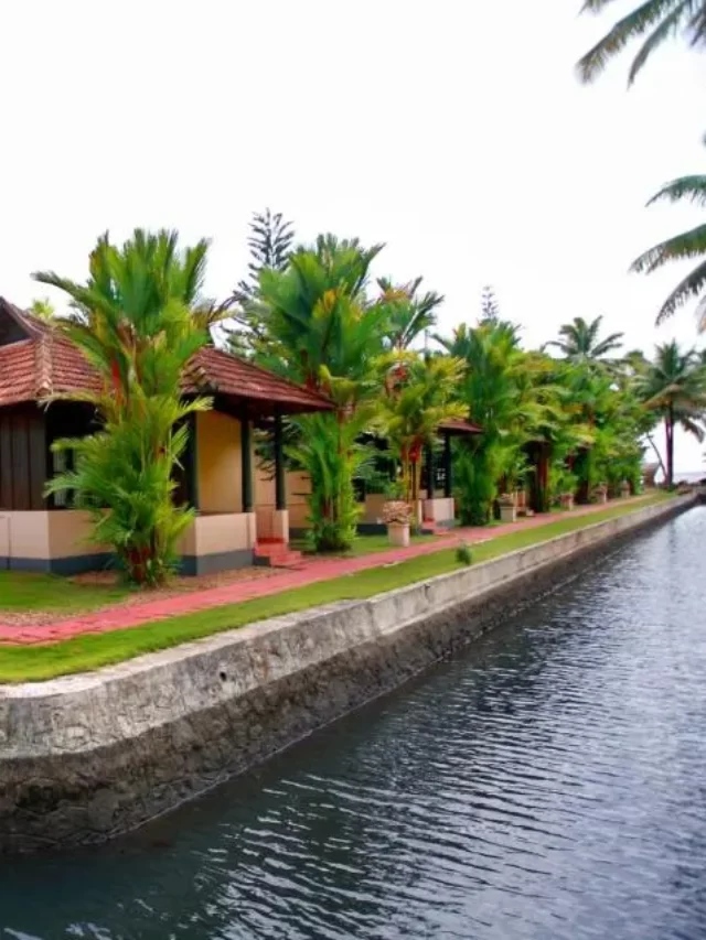 7. Kumarakom – A glimpse of paradise