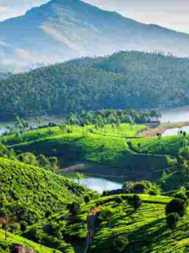 munnar of kerala hills stations