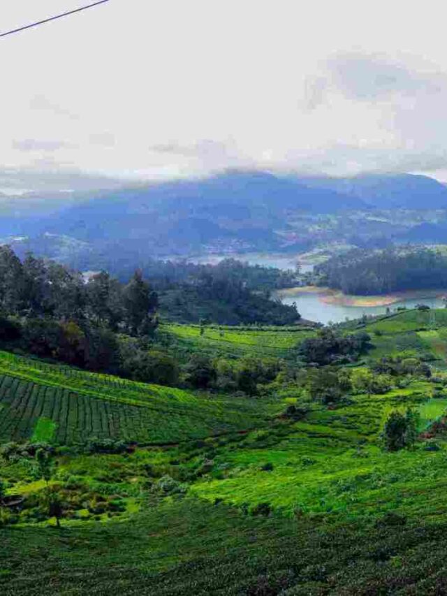 ooty popular hills station of south india