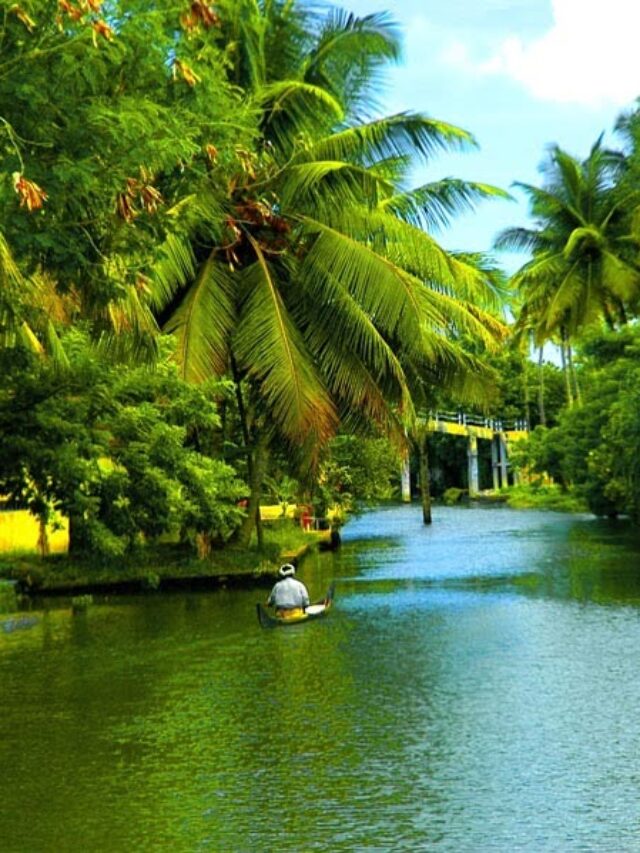 The beauty of Kerala