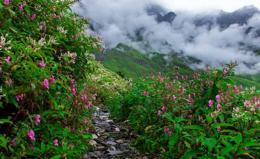 How To Reach Valley of Flowers