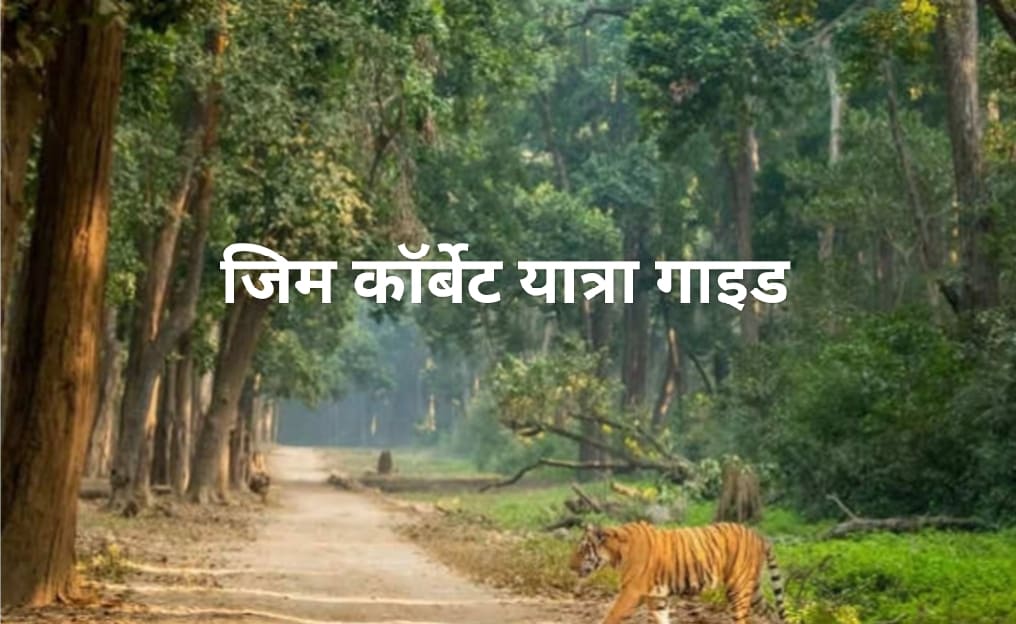 Jim Corbett Travel Guide In Hindi