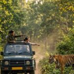 Jim Corbett Trip Budget 2026 jungle safari tiger jeep family travel guide India